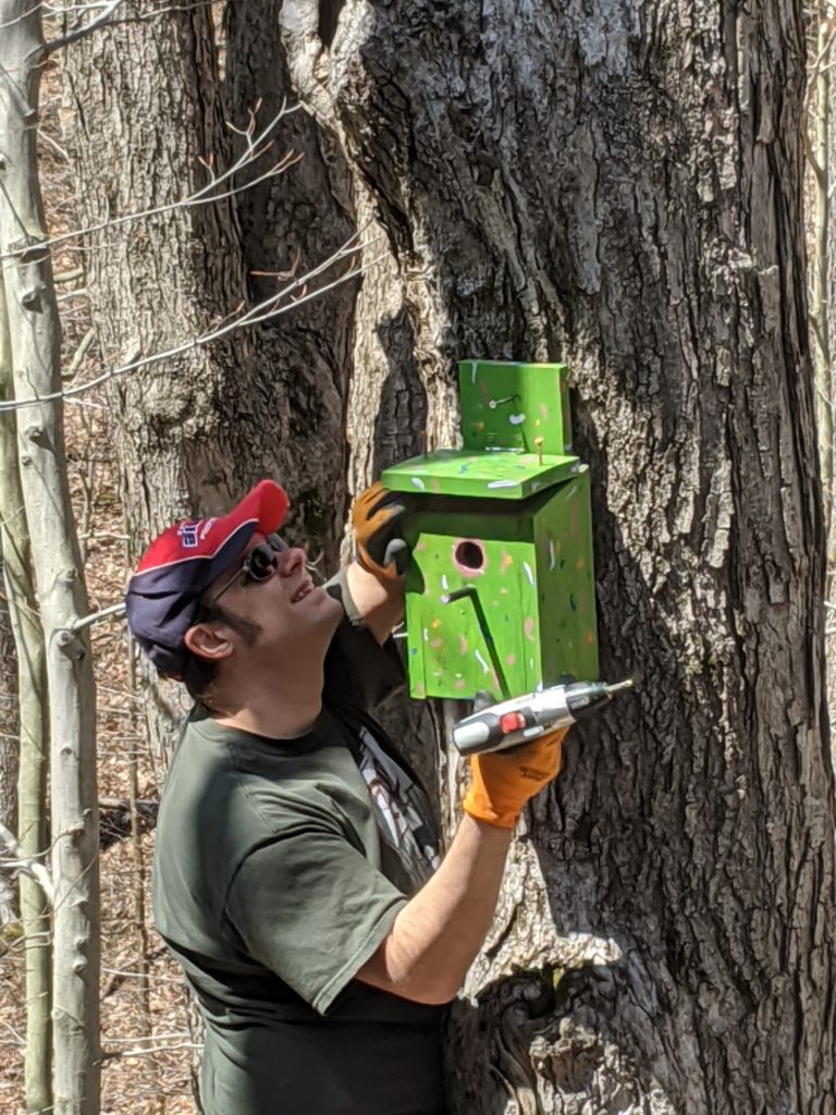 Hanging Cambree's Girl Scouts Birdhouse